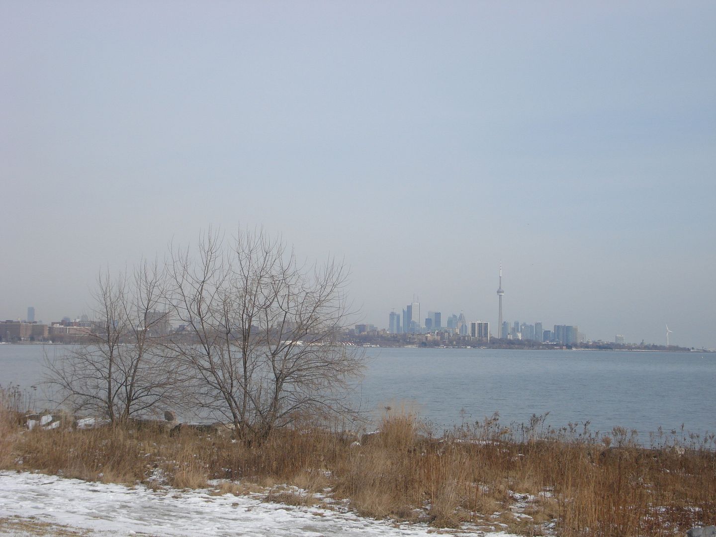 Toronto Toronto